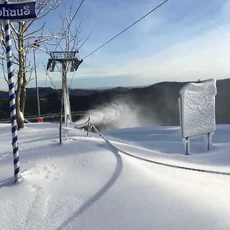 Haus Ina - Rondar Apartmán *