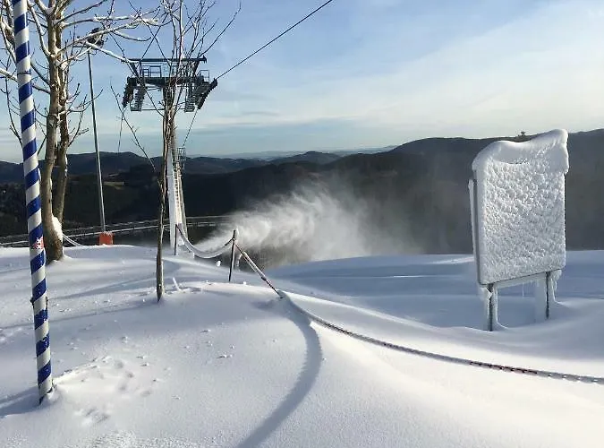 Haus Ina - Rondar Apartmán *